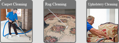 Professional rug Cleaning